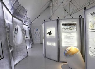 Así se derrite el Ártico