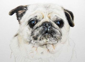 La exposición ‘Ánima/les’ de Abigail Narváez se inaugura en El Gran Café.