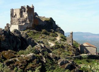 Varias asociaciones piden en un manifiesto cambios en la política forestal Sierra de Gata