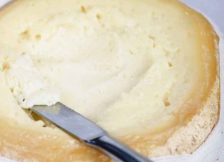 El consumo de Torta del Casar aumenta en el mercado nacional La Ruta del Queso de Extremadura incorpora a la DOP Queso de Acehúche