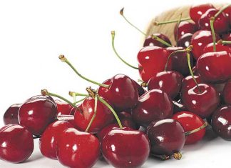 El oro rojo del Valle del Jerte