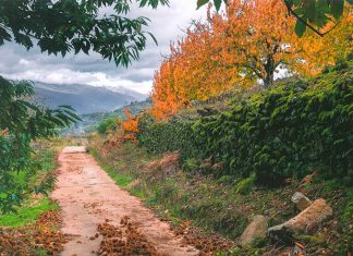 Ampliado el plazo para solicitar los bonos turísticos de Cáceres hasta el 28 de febrero del 2022