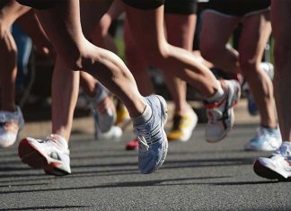 La carrera de Fernando el Católico