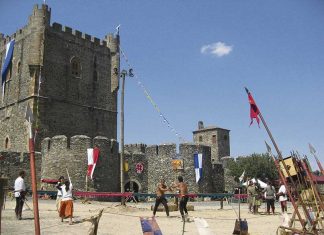 Arqueología en vivo