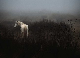 Javier Arcenillas y Lucas García Ramírez, ganadores de los premios del #4 concurso Cáceres de Foto