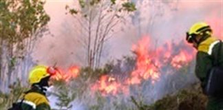 Un incendio en Cilleros calcina 85 hectáreas