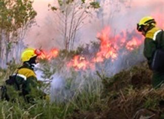 Un incendio en Cilleros calcina 85 hectáreas