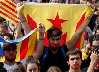 Las tripas de la opinión