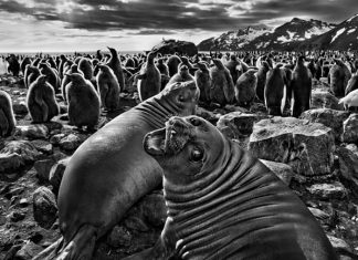 Agenda semana del 4 al 10 de diciembre