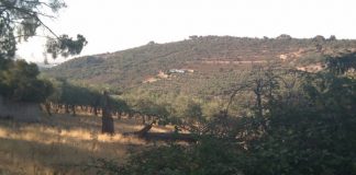 La plataforma Salvemos la Montaña reitera que no hay ningún permiso para la mina de Valdefórez