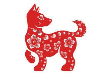 Año del Perro de Tierra