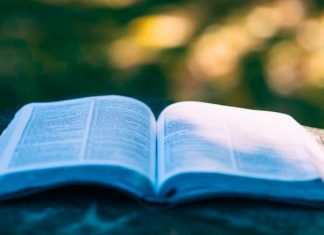 Abierto el plazo para los certámenes literarios de la Diputación de Cáceres