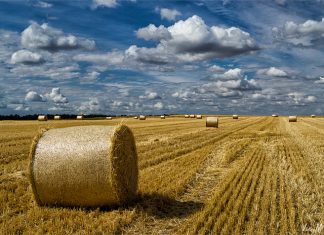 Agricultura Extremeña