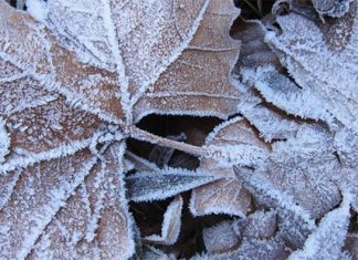 Las Villuercas y Montánchez en alerta amarilla por frío