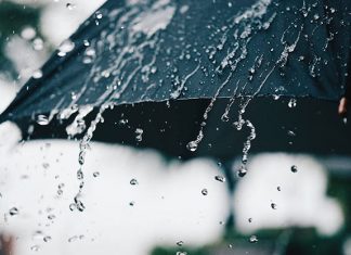 Tiene que llover a cántaros. Carmen Heras.