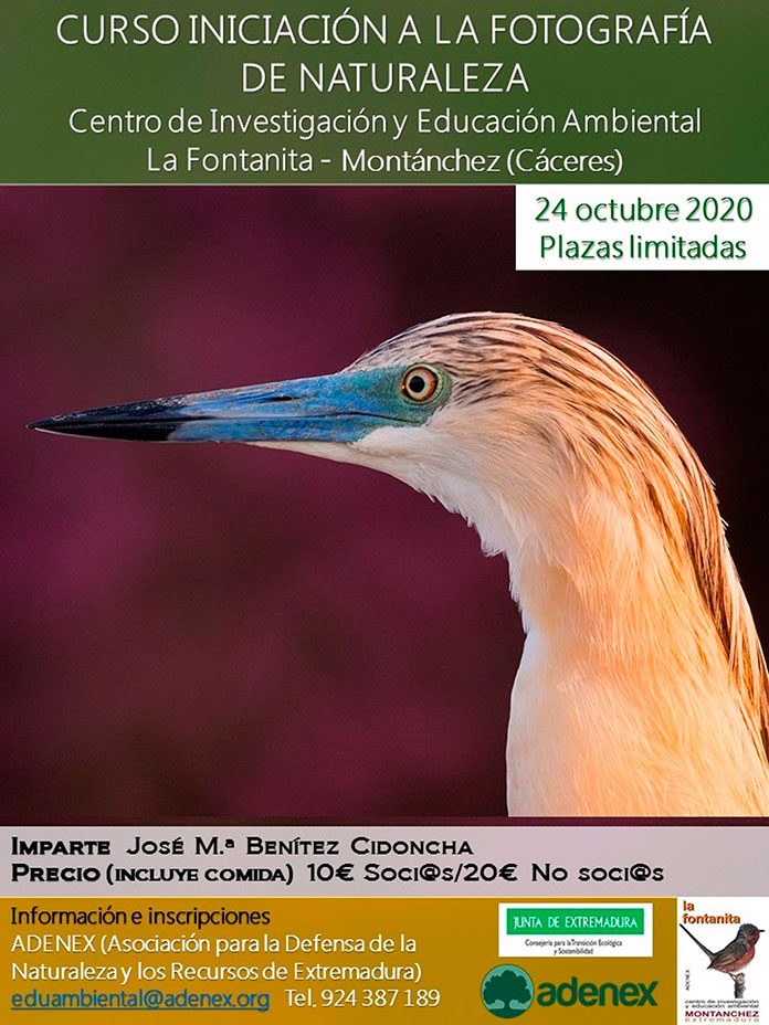 Cursos sobre ornitologia, fotografía y trabajos de campo en Montánch