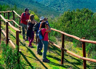 Birding y rutas en bici para disfrutar del fin de semana en el Mes de las Reservas de la Biosfera de Monfragüe y Tajo Internacional