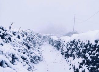 Filomena deja hasta 10 centímetros de nieve en las zonas altas de la provincia de Cáceres