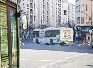 Comienzan las obras de accesibilidad en las paradas de autobús de Cáceres