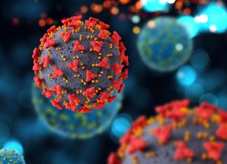 El SES detecta un posible brote de la variante brasileña en el norte de Cáceres El SES detecta un posible brote de la variante brasileña en el norte de Cáceres