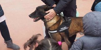 El alumnado del CEIP Lope de Vega conoce la labor de Guías Caninos de la Policía de Badajoz