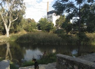 La Comisión de la Infancia de Cáceres desarrollará actividades culturales y sostenibles