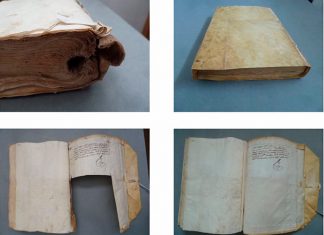 Como el ave Fénix muestra el trabajo de los restauradores de libros en Pintores 10