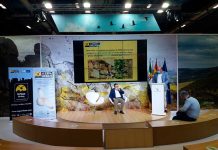 Extremadura muestra los logros del programa de protección del cernícalo primilla