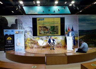 Extremadura muestra los logros del programa de protección del cernícalo primilla