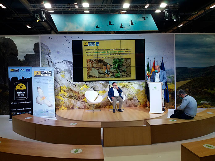 Extremadura muestra los logros del programa de protección del cernícalo primilla