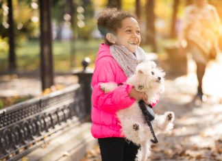 La Comisión de la Infancia de Cáceres realizará un vídeo sobre la protección de los animales La comisión de la infancia de Cáceres realizará un vídeo sobre la protección de los animales