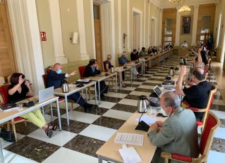 Cruz Caídos Victimas Covid