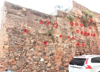 El Festivalino de las Aves de Cáceres localiza más de 100 nidos de vencejos en la muralla El Festivalino de las Aves de Cáceres identifica más de 100 nidos de vencejos en el adarve de la muralla - FESTIVALINO DE LAS AVES