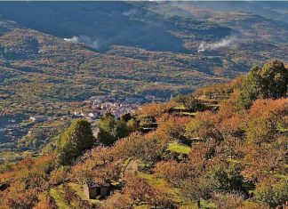 La Vera y el Valle del Jerte