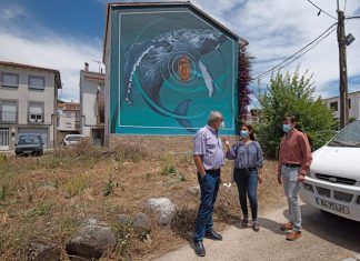 Muro Crítico Navaconcejo