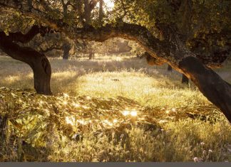 Cartel de la exposición de fotos Santiago Castelo
