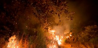 Continúan las labores de extinción en el incendio de Peraleda de San Román