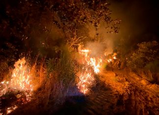 Continúan las labores de extinción en el incendio de Peraleda de San Román