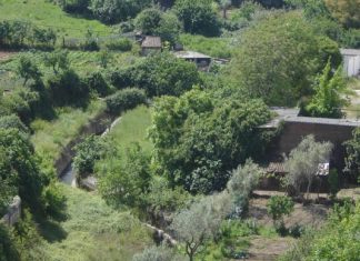 La Red de Intercambio de Semillas de Cáceres celebra un encuentro sobre variedades autóctonas