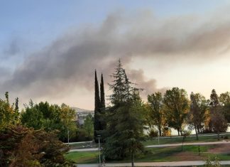 Una nave hortofrutícola cercana a Mérida sufre un incendio