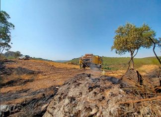 La Junta prevé dar por controlado el fuego de Alburquerque en unas horas
