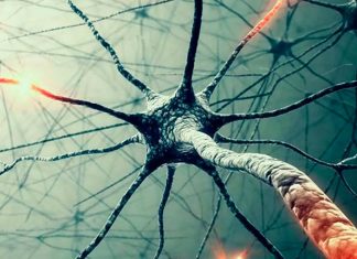 Habla con tu cuerpo Habla con tu cuerpo. La Bruja Circe