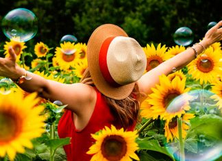 Palabras de Hoponopono Palabras de Hoponopono