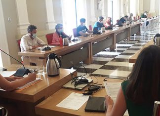 El Pleno del Ayuntamiento aprueba la subida del IBI y del impuesto de rodaje en Cáceres Luz verde a la subida del IBI y del impuesto de vehículos en Cáceres