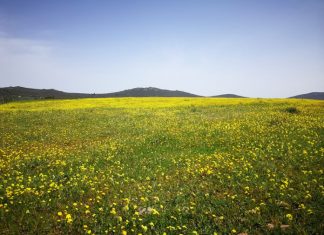 Salvemos la Montaña pide a la CHT declarar El Calerizo masa de agua subterránea Salvemos la Montaña pide a la CHT declarar El Calerizo masa de agua subterránea