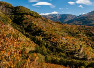 Turismo Valle del Jerte