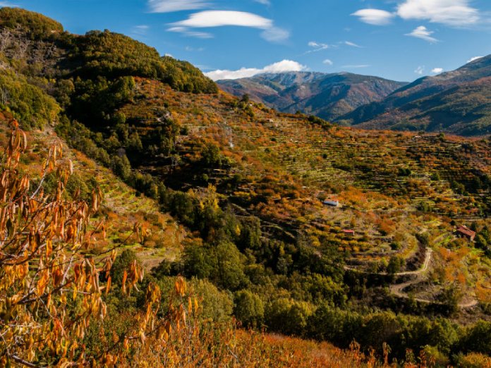Saborea el otoño y las castañas en el Valle del Jerte