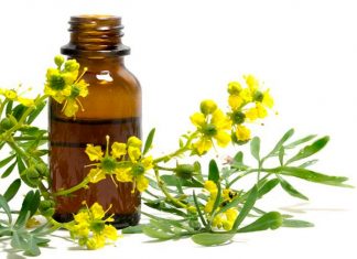 Aceite aromatizado de ruda Aceite aromatizado de ruda