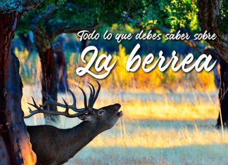 Monfragüe recibe al otoño con la tradicional berrea