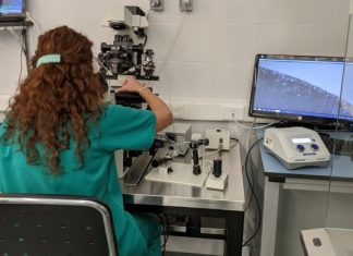 El Centro de Cirugía de Mínima Invasión investigará sobre el cáncer de colon